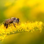 Zoo Debrecen Hosts Conference on Vital Ecosystem Players