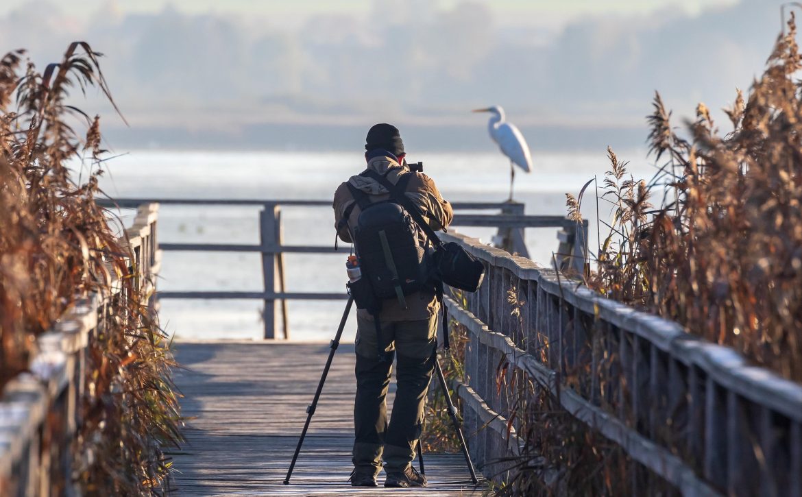 Attenborough 100: Nature Photography Competition Announced in Debrecen