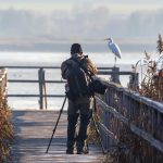 Attenborough 100: Nature Photography Competition Announced in Debrecen