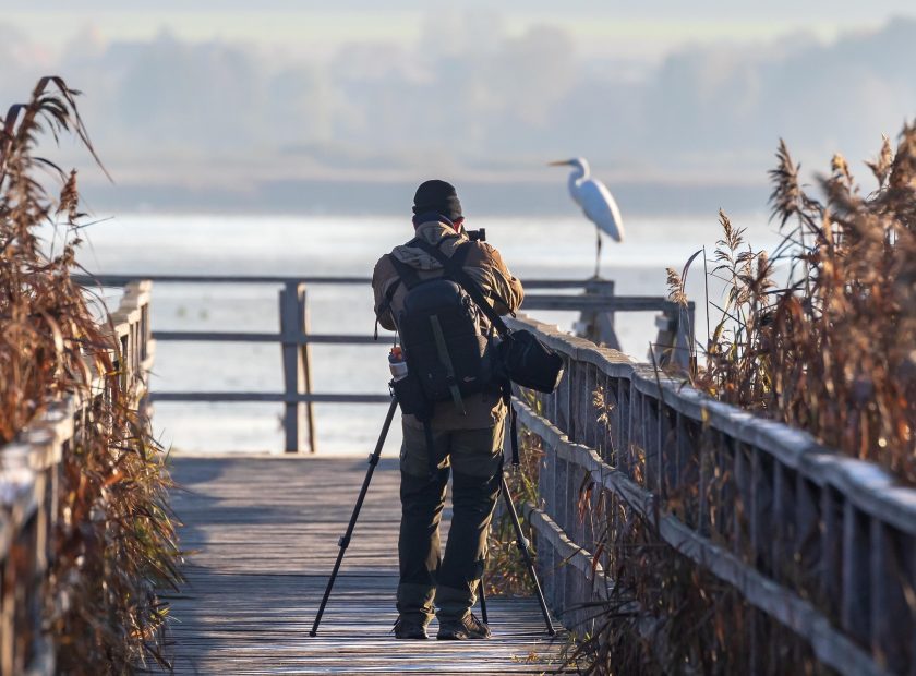 Attenborough 100: Nature Photography Competition Announced in Debrecen