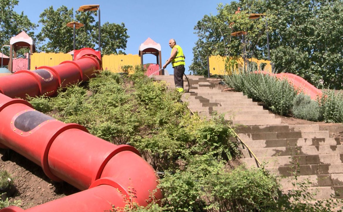 Urban Vegetation Receives Extra Attention Due to Heat and Drought