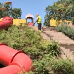 Urban Vegetation Receives Extra Attention Due to Heat and Drought