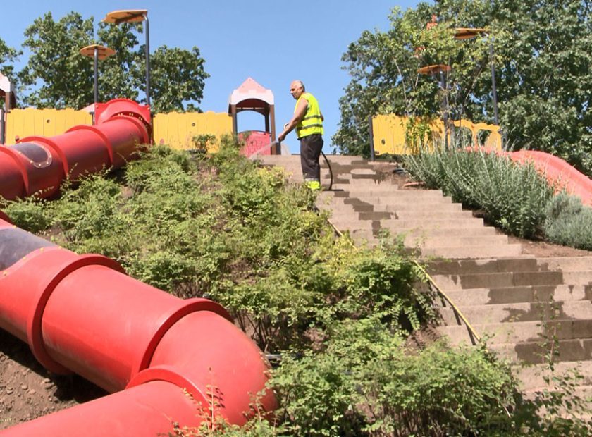 Urban Vegetation Receives Extra Attention Due to Heat and Drought