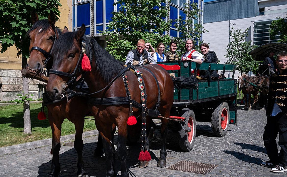 Museum Street Section Parking Spaces Closed for All Vehicles but Horse Carriages on 15 May