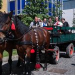 Múzeum Street Section Parking Spaces Closed for All Vehicles but Horse Carriages on 15 May