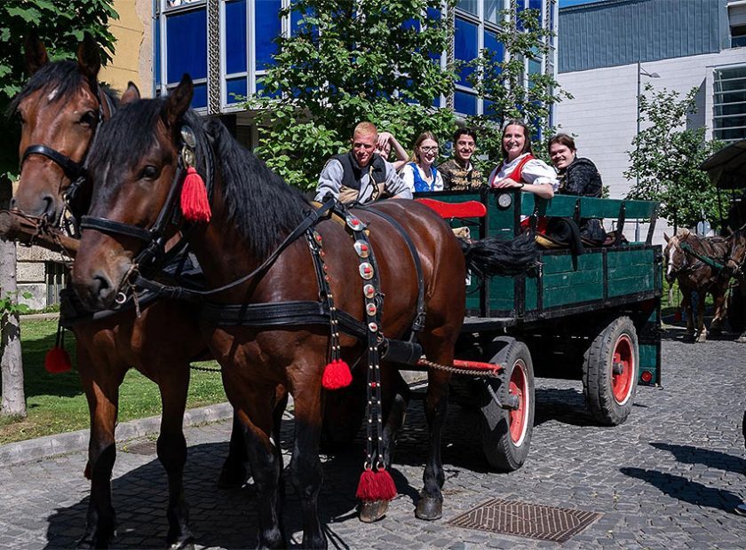 Museum Street Section Parking Spaces Closed for All Vehicles but Horse Carriages on 15 May