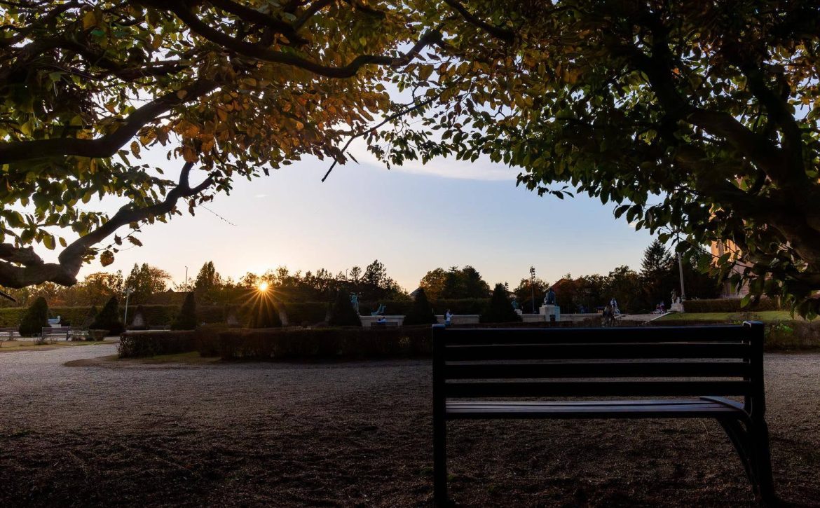 Online Survey Launched on University Square Redevelopment