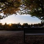 Online Survey Launched on University Square Redevelopment