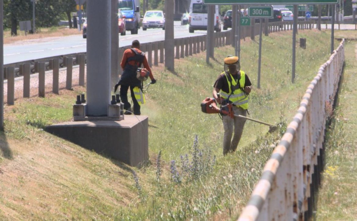 Mowing of Public Green Areas Resumes in Debrecen After One Month