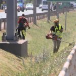 Mowing of Public Green Areas Resumes in Debrecen After One Month