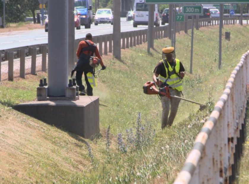 Mowing of Public Green Areas Resumes in Debrecen After One Month
