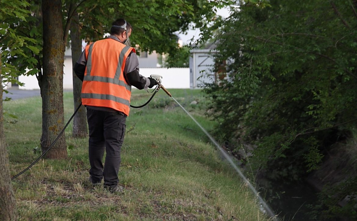 Environmentally Friendly Mosquito Larvae Control Programme Begins in Debrecen