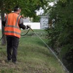 Environmentally Friendly Mosquito Larvae Control Programme Begins in Debrecen