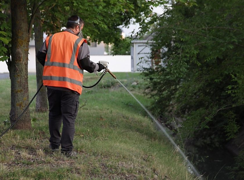 Environmentally Friendly Mosquito Larvae Control Programme Begins in Debrecen