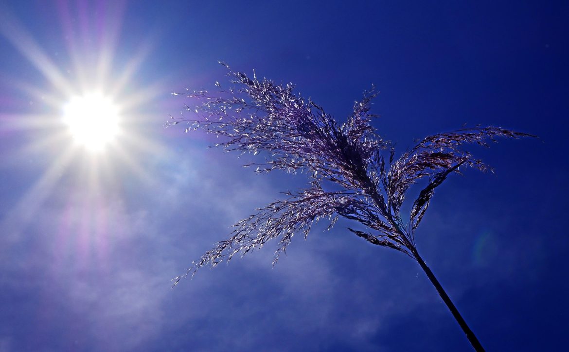 Chief Medical Officer Issues Highest-Level Heat Alert from Saturday