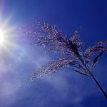 Chief Medical Officer Issues Highest-Level Heat Alert from Saturday