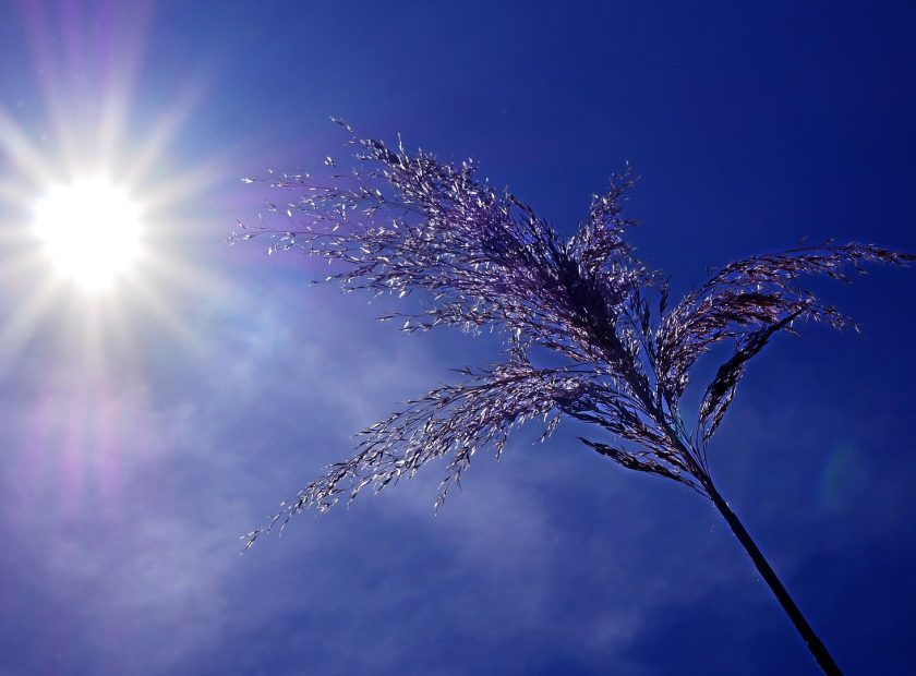 Chief Medical Officer Issues Highest-Level Heat Alert from Saturday
