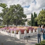 Environmental Development at Bem Square