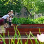 Another Community Garden Opens in Tócóskert