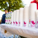 Drinking Water Distribution During Heat Alert in Debrecen