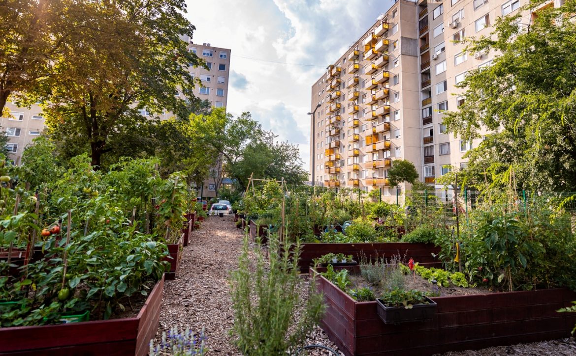 Debrecen4U-UMunicipality- Debrecen- Kitchen-Gardens-Competition