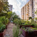 Searching for Debrecen's Most Beautiful Kitchen Gardens