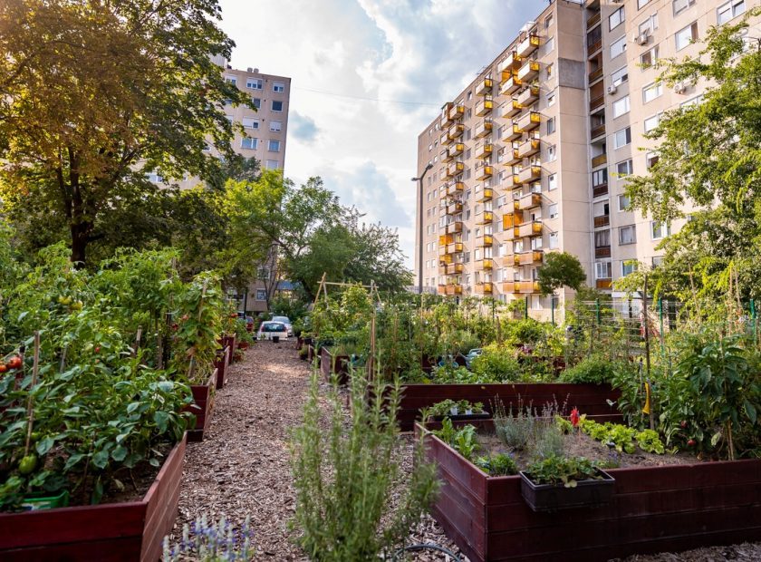 Debrecen4U-UMunicipality- Debrecen- Kitchen-Gardens-Competition