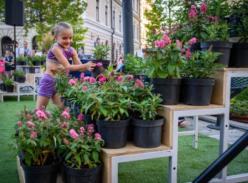 Community Float Decoration Now a Tradition During Debrecen Debrecen Flower Carnival
